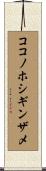 ココノホシギンザメ Scroll