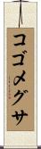コゴメグサ Scroll