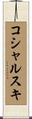 コシャルスキ Scroll