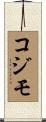 コジモ Scroll