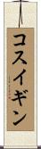 コスイギン Scroll