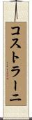 コストラーニ Scroll