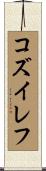 コズイレフ Scroll