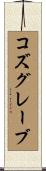 コズグレーブ Scroll
