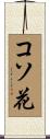 コソ花 Scroll