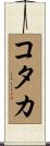 コタカ Scroll