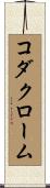 コダクローム Scroll
