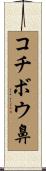 コチボウ鼻 Scroll