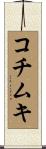 コチムキ Scroll
