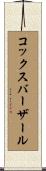 コックスバーザール Scroll