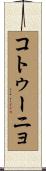 コトゥーニョ Scroll