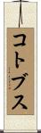 コトブス Scroll