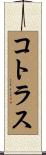 コトラス Scroll