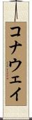 Conaway Scroll