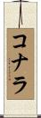 コナラ Scroll