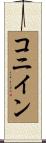 コニイン Scroll