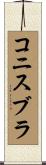 コニスブラ Scroll