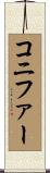 コニファー Scroll