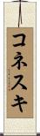 コネスキ Scroll