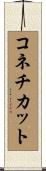 コネチカット Scroll