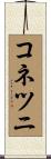 コネツニ Scroll