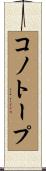 コノトープ Scroll