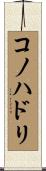 コノハドリ Scroll
