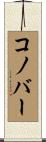 Conover Scroll