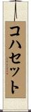 コハセット Scroll