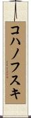 コハノフスキ Scroll