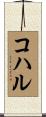 コハル Scroll