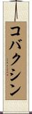 コバクシン Scroll