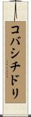 コバシチドリ Scroll