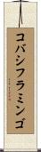 コバシフラミンゴ Scroll