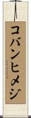 コバンヒメジ Scroll