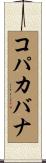 コパカバナ Scroll