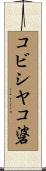 コビシヤコ碆 Scroll