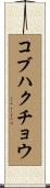 コブハクチョウ Scroll