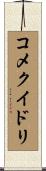コメクイドリ Scroll