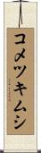 コメツキムシ Scroll