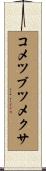コメツブツメクサ Scroll
