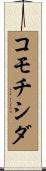 コモチシダ Scroll