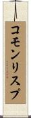 コモンリスプ Scroll