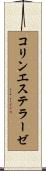 コリンエステラーゼ Scroll