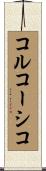 コルコーシコ Scroll