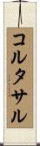 コルタサル Scroll