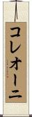 コレオーニ Scroll