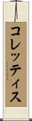 コレッティス Scroll