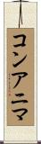 コンアニマ Scroll