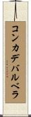 コンカデバルベラ Scroll